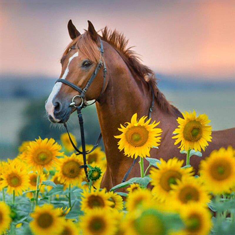 Nou Tablou 5D DIY cu Diamante, Bovine, Broderie cu Diamante, Animale, Cusătură în Cruce, Burghiu Rotund Complet, Artizanat Manual, Decor Acasă, Cadou