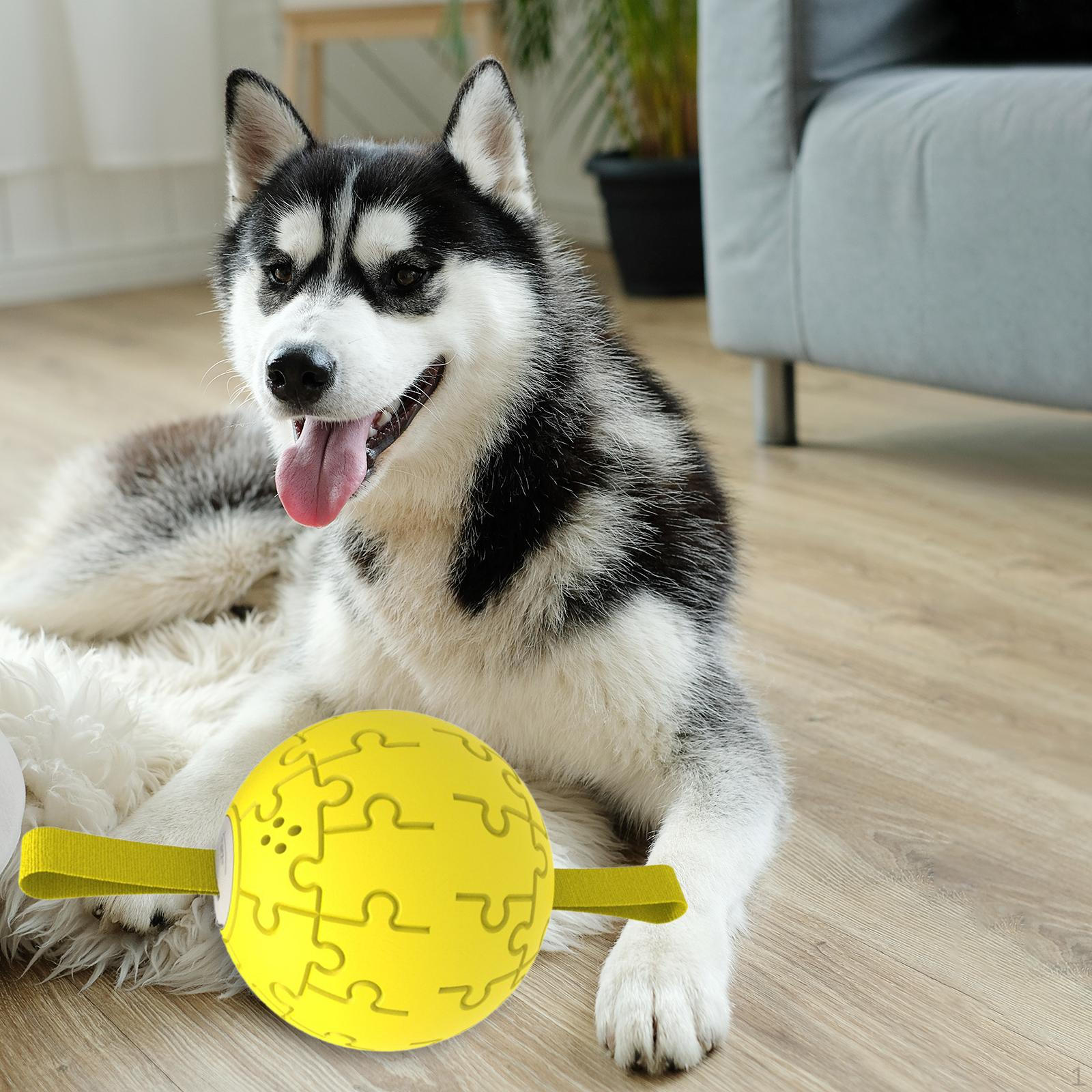 

Squeaky Dog Toy Interactive Toys Ball Indoor Multifunctional Training Puppy with Rope Treat