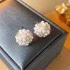 Gold Zircon Pearl Silver Post Earrings