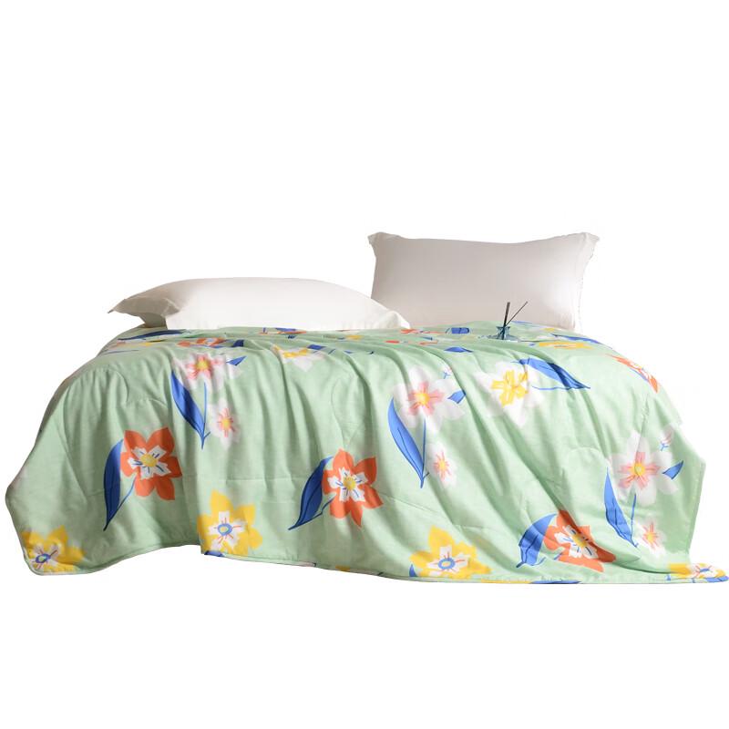 Hongxiu Shifang Yi Xiang All-Season Lightweight Quilt