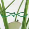 50/100 Stück Gartenbau 8-Form Schnalle Kunststoff Pflanzenbindung Festes Kabelbinder Mehrzweck-Befestigungsklemme Hebering