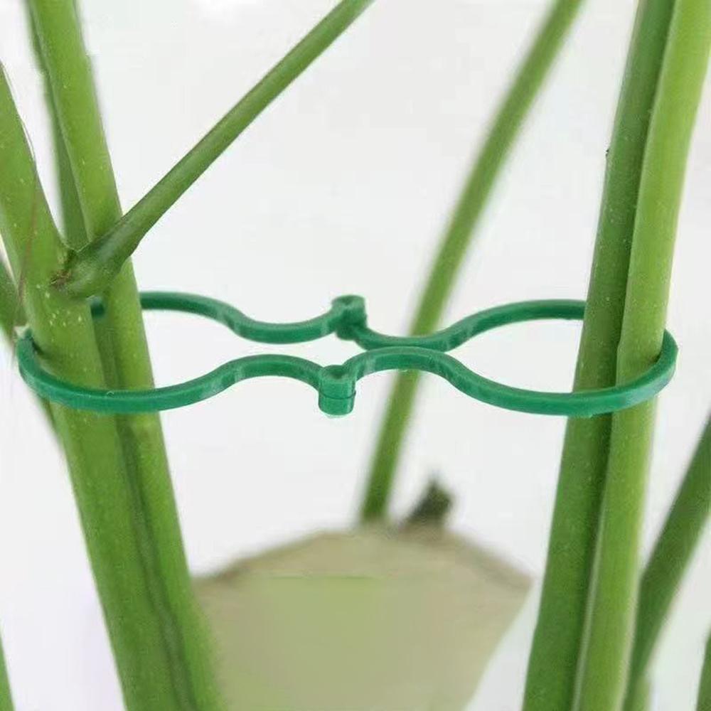 50PCS Horticulture 8 Figure-Eight Buckle Plastic Plant Binding Fixed Cable Tie Multi-Functional Fixed Clamp Hoist Ring