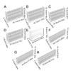 Desktop Test Tube Rack Test Tube Holder Tube Stand Lab Tube Holder Bracket Clear Test Tube Display Stand Test Tube Stand