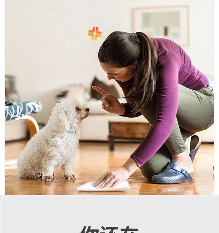 Thickened, Deodorizing Pet Training Pads - Absorbent, Leak-Proof, Disposable Dog & Cat Diapers