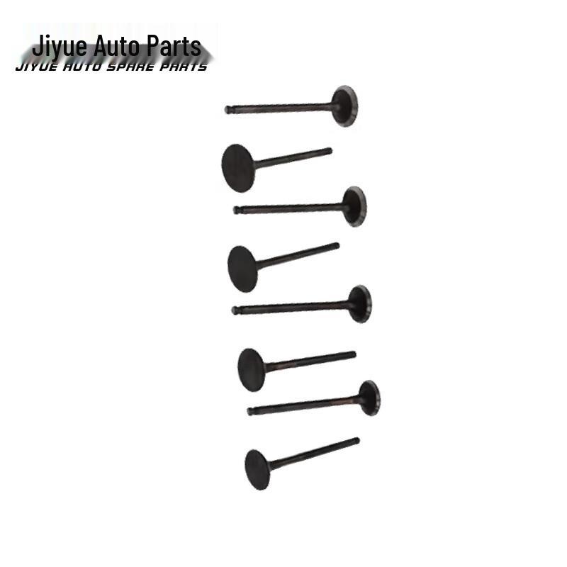 Jiyue Engine Intake and Exhaust Valves