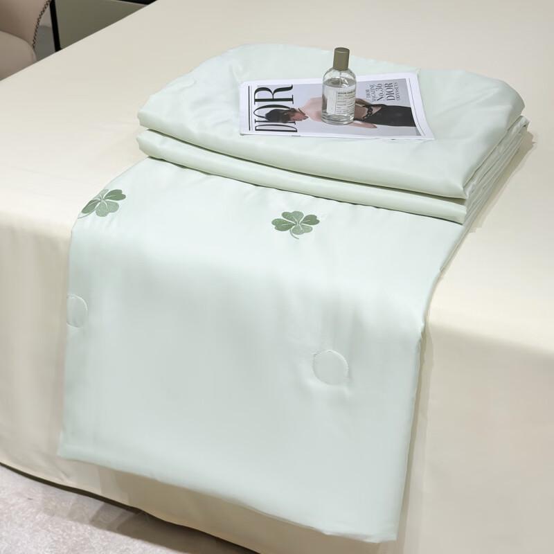 Lu Fenglai Ice Silk Summer Quilt