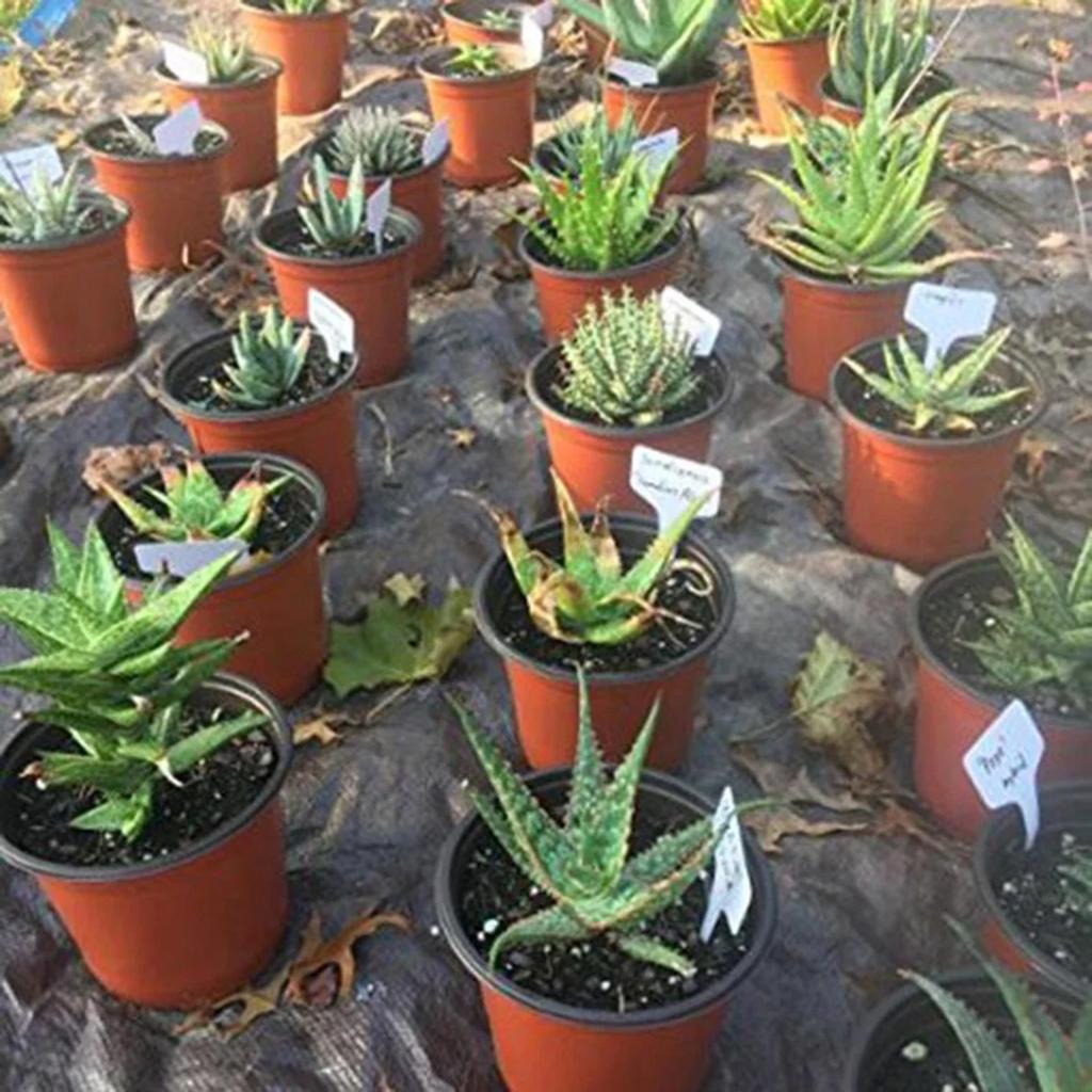 100 STuks Tuinetiketten Plantenetiket Bordje Tag Schrijfbord Bord Voor Kweektuin Potten Plant Waterdicht Tuin Sorteer Markering Etiket