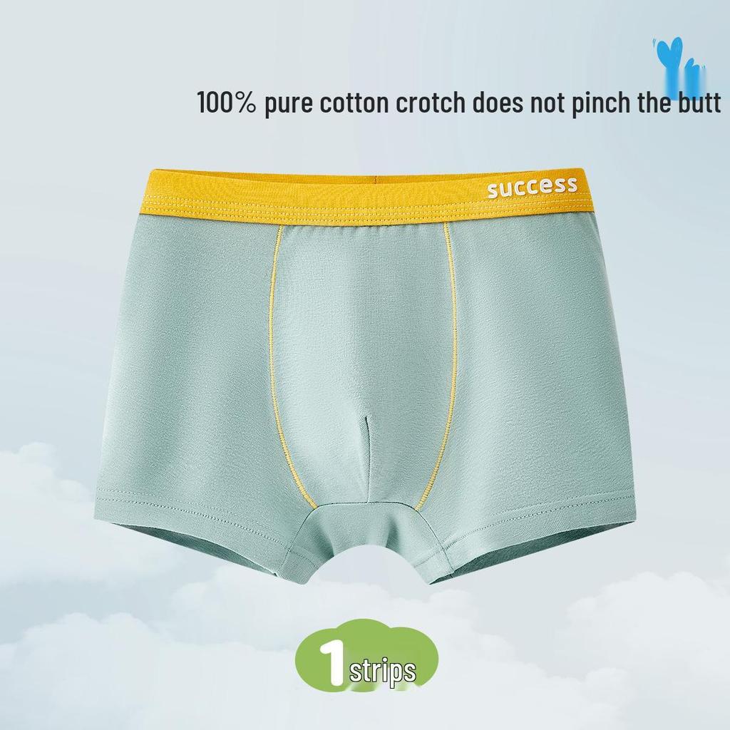 Boys' Pure Cotton Class A Underwear - Teen & Large Sizes, Full Cotton Crotch, Antibacterial Boxer Briefs