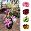 5 pezzi Mix Colore Calza di Nylon Materiale Fiore Rotondo Calza Elastica Materiale Accessorio Matrimonio Fatto a Mano Casa Fai da Te Fiore di Nylon