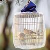 Păsări – Cuști pentru păsări și accesorii