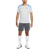 New Nike Tottenham Hotspur Strike Men's Nike Dri FIT Soccer Short Sleeve Knit Top FN9823-098