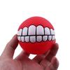Sound Ball Pet Dog Puppy Squeaky Chew Toy Squeaker Ball Funny Toys