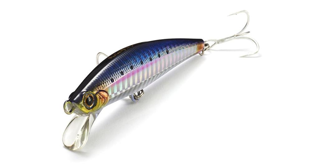 Jackson Pintail Sago Stune 20g CCN Chart Candy