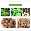 PE Potato Planting Bag Breathable Vegetable Grow Container With Handles For Root Crops Gardening Tool Dark Green Black