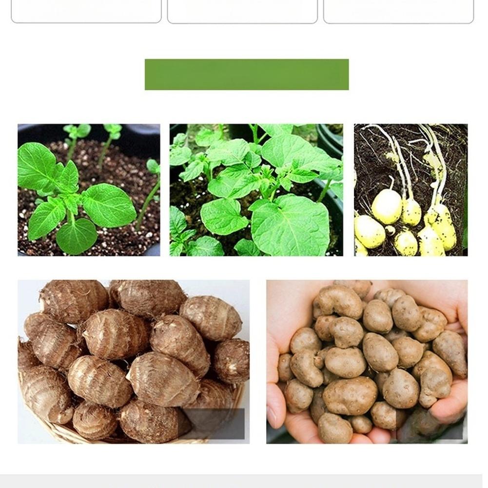 PE Potato Planting Bag Breathable Vegetable Grow Container With Handles For Root Crops Gardening Tool Dark Green Black