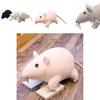 Horror Black Rat Plush Toy For Kids And Adults Alike 20cm Soft And Cuddly Stuffed Doll