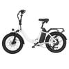 DYU C9 All-Terrain Foldabe E-Bike For Adult 250W Motor 48V15.6AH Battery 20 Inch Off-Road Tires Mountain Electric Bike City Electric Bicycle
