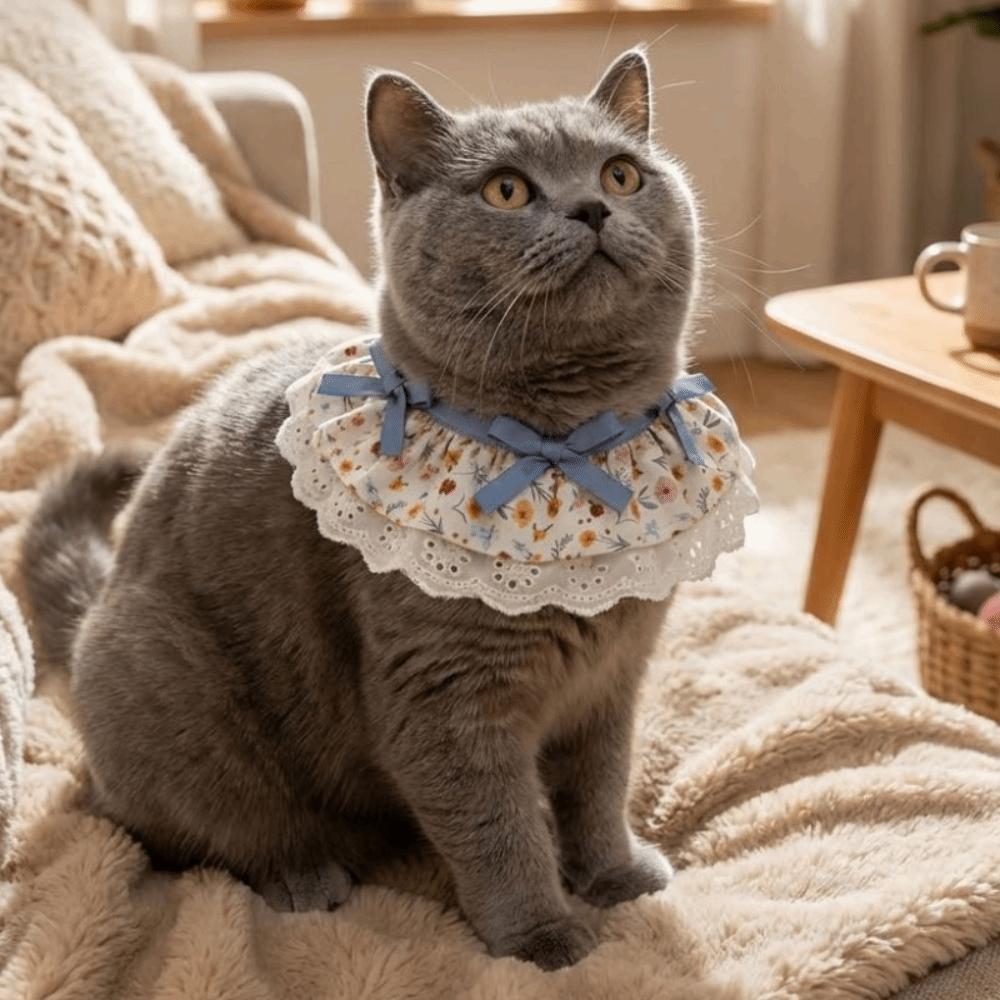 Cartoon Knitted Collar Lace Floral Bows Cat Drool Towel Cute Pet Bib  Daily Use