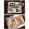 8pcs/Set Observing Leaves Leaves Stickers Adhesive Decorative Sticker  Scrapbooking Diary Planner