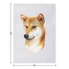 Shiba Inu Stunning Dog! Throw Blanket Retros Extra Large Throw Decorative Designers Blankets