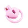 Heart Negative Plastic Chastity Locks Male Cock Cage Lower Body Hidden Cross-Dressing Tools
