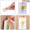 Xiaomi 50Pcs/20PCS Wooden Clips Push Pins Tacks Decorative Photo Clips Supplies Office School Stationery Binder