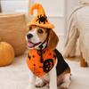 Halloween Dog and Costume Set, Funny Pet Clothes with Accessories
