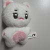 Jamnyangi Nct Jaemin Doll