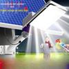 Lishi Solar Outdoor Street & Courtyard Light