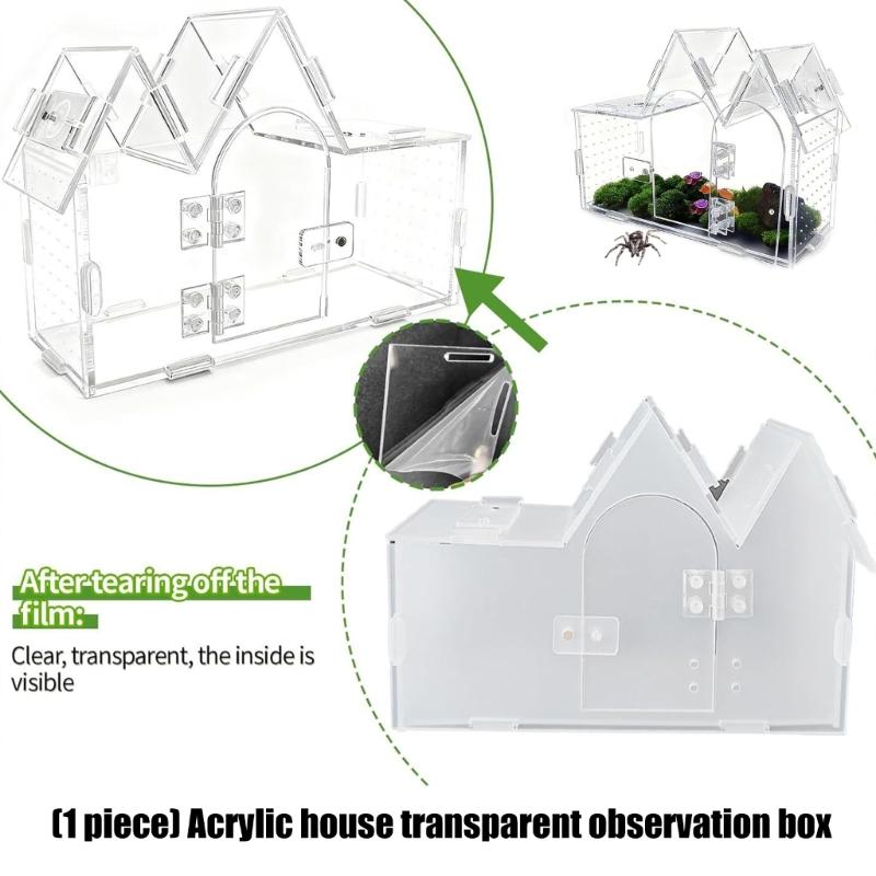Ventilated Acrylic Reptiles Habitat Terrarium with Air Circulations Ensuring Healthy Environment for Small Pet Animal