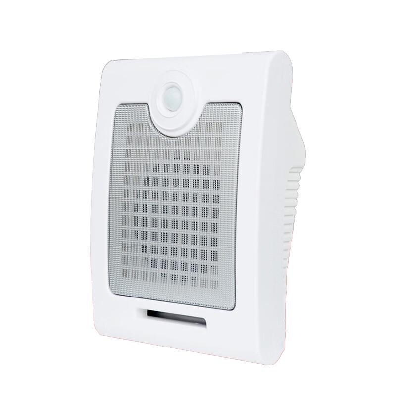 Zhuku PIR Voice Safety Alarm