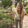 Bird Perch Stand Anti-Slip Climbing Chew Toy Natural Cockatiel Perch Bird Stand Set Board Bite Claw Grinding Bird Cage Accessor
