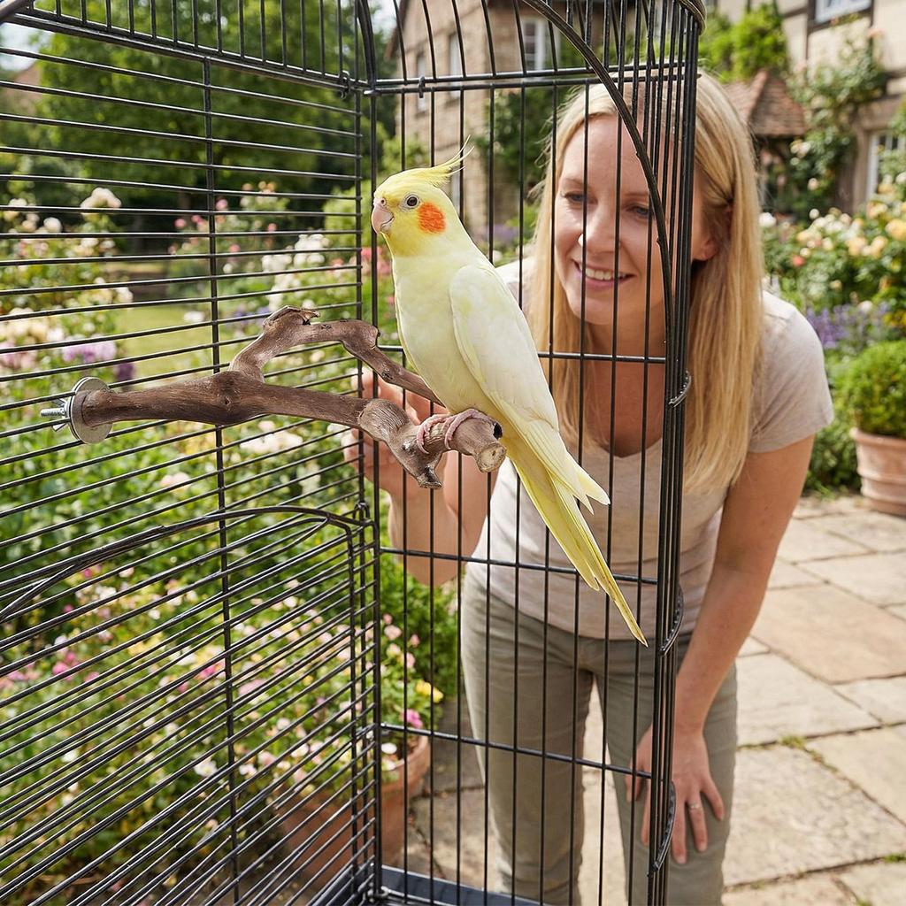 Bird Perch Stand Anti-Slip Climbing Chew Toy Natural Cockatiel Perch Bird Stand Set Board Bite Claw Grinding Bird Cage Accessor