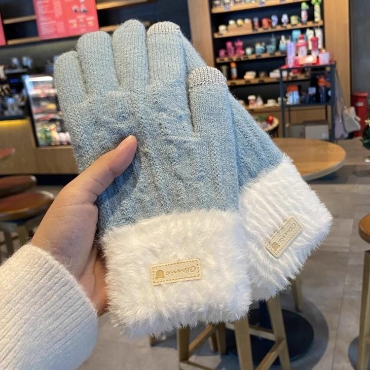 Winter Korean Version of Ins Knitted Wool Gloves for Female Students Riding Thickened Warm Double Layer Touch Screen Gloves