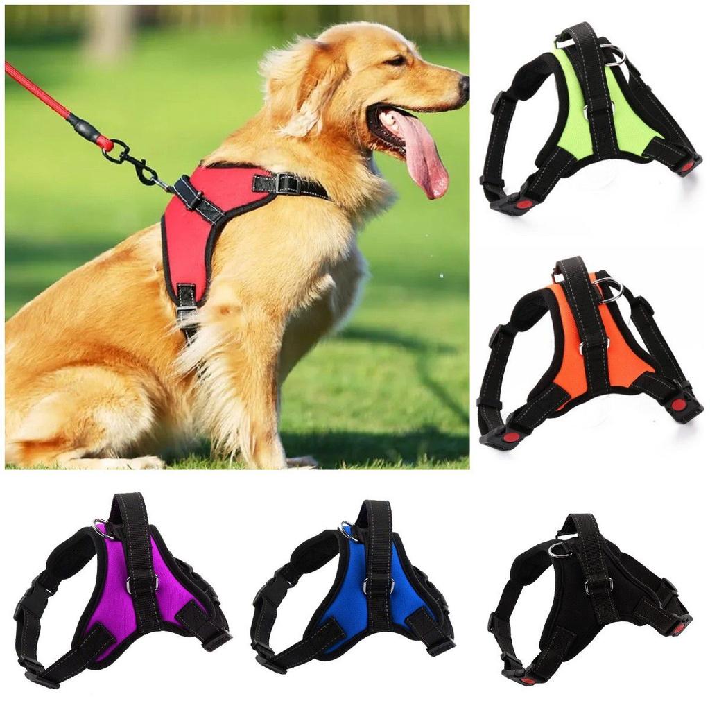 Small And Medium-sized Dog Harness Easy To Put On And Take Off With Adjustable Straps