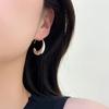 Niche Design Drop Earrings Cold Wind Simple Senior Sense of Earring Ear Hooks Personalized Affordable Dainty Earrings Durable Alloy Daily Wear