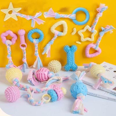 Cross-Border Pet Chew Toys for Dogs: Teddy Dog Chewing Stick
