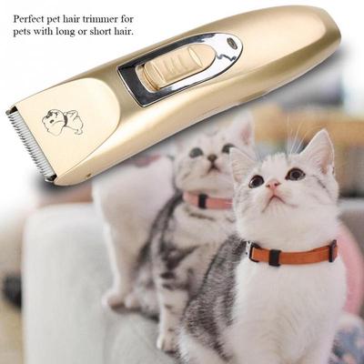 cat silencing collar