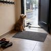 Floor Mat Anti-Slip Design Ultra-Thin Profile Door Mat Moisture-absorbing Entry Rug Sand-proof Entrance Mat