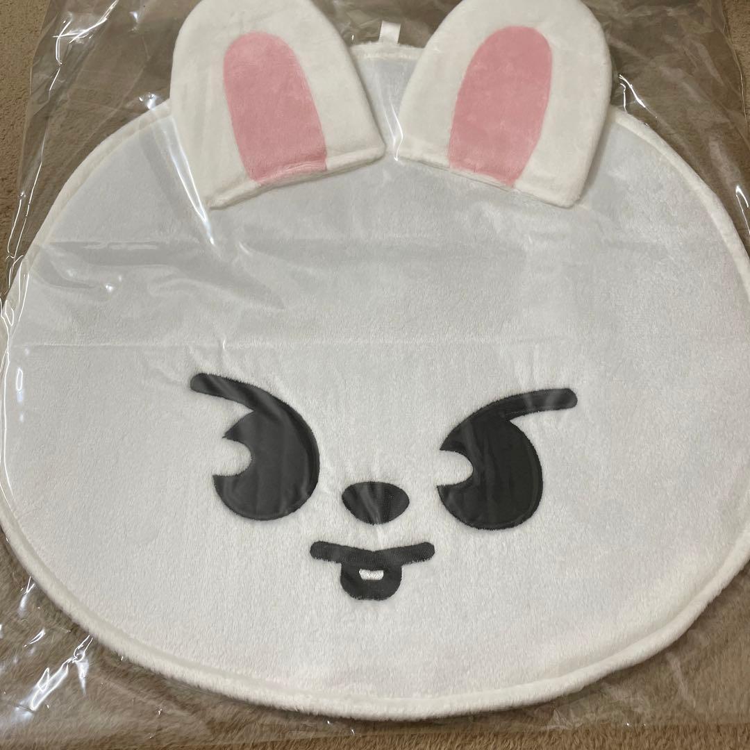 

[USED] Leavitt Reno Stray Kids SKZOO Fan Case