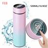 Thermos sottovuoto in acciaio inossidabile a doppio strato da 500 ml Bicchiere da caffè Tazza da viaggio Viaggio d'affari Bottiglia d'acqua Bottiglia con infusore per tè