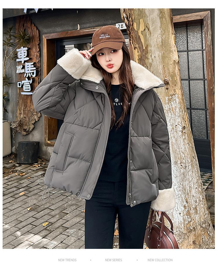 Tjock Varm Jacka med Avtagbar Huva och Kort Pälskrage