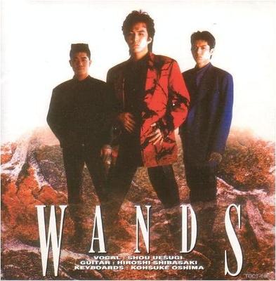 CD WANDS - WANDS TOCT6504 TM Tovární cena 1992 Japonsko Obi Japonský pop/rock Použité