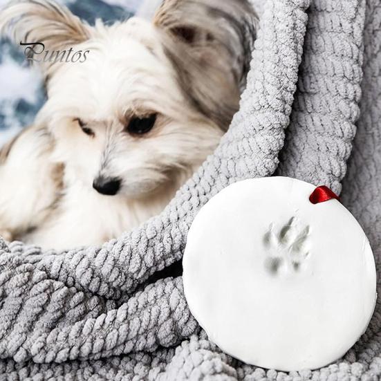 Pet Paw Print Christmas Ornament Kit 2 Pcs Dog/Cat DIY Hanging Souvenir with Customization Tools And Display Stand Clay Pawprint Keepsake Lover