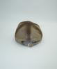 NUUKFITTER Bush Cap (Wax Coating) [Beige]