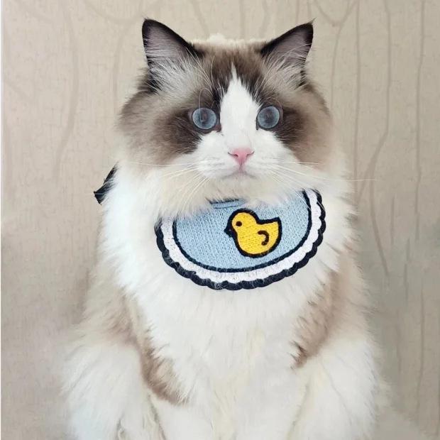 Newcomer Pet Bib: Corgi & Teddy Drool Neckerchief