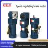 Tengshengwei 220V Drehzahlregelbarer Mikro-AC-Getriebemotor mit Bremse für Vorwärts- und Rückwärtslauf
