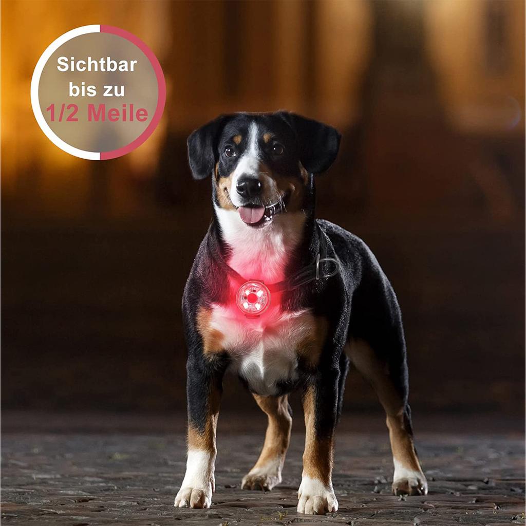 USB Charging Pet Luminous Anti-lost Pendant, Pet Safety Light Luminous Dog Tag