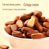 Jing Mi Northeast Red Pine Pine Nuts