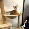Kattenkrabpaal Kattenboom Sisal Klimrek DIY Vervangpaal Accessoires Kittenspeelgoed Huisdiermeubilair Kittens Krabpaal